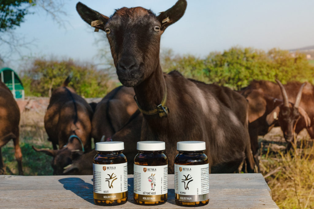 Betula Kozí kolostrum
