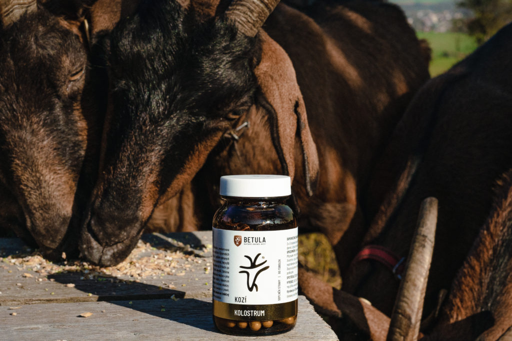 Betula Kozí kolostrum
