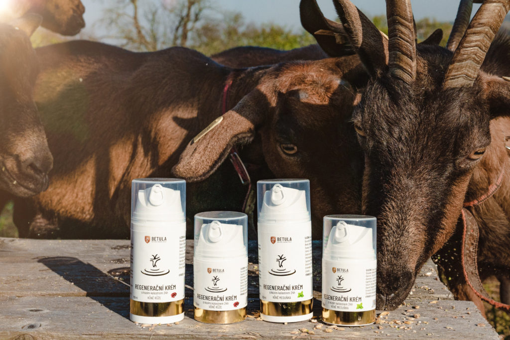Betula Regenerační krém s kozím kolostrem